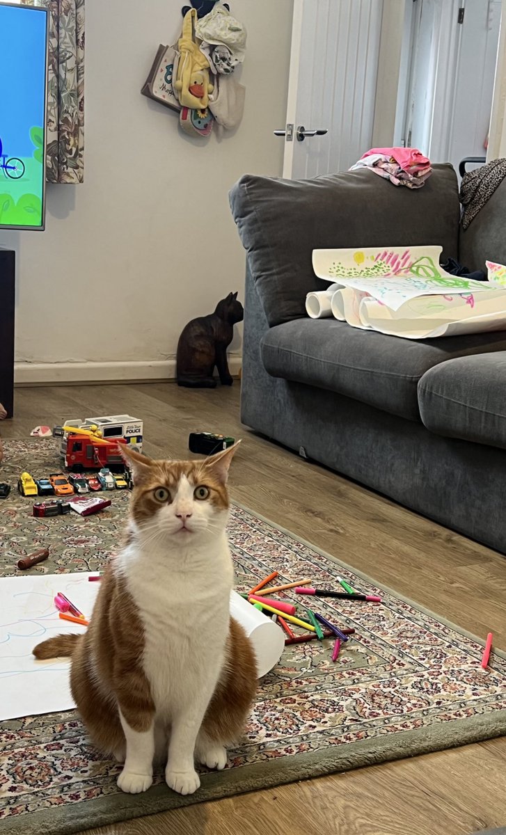 Enyone know if thease horors beed purse sistimg agein tomorroe