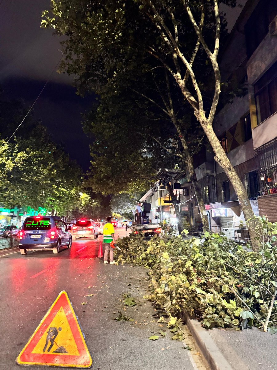 Punë në proçes,  krasitja✂️ e pemëve🌳 për lirimin e sinjalistikave. 🚥🚏 #RrugaDibrës #DrejtoriaePërgjithshmeePastrimGjelbërimit