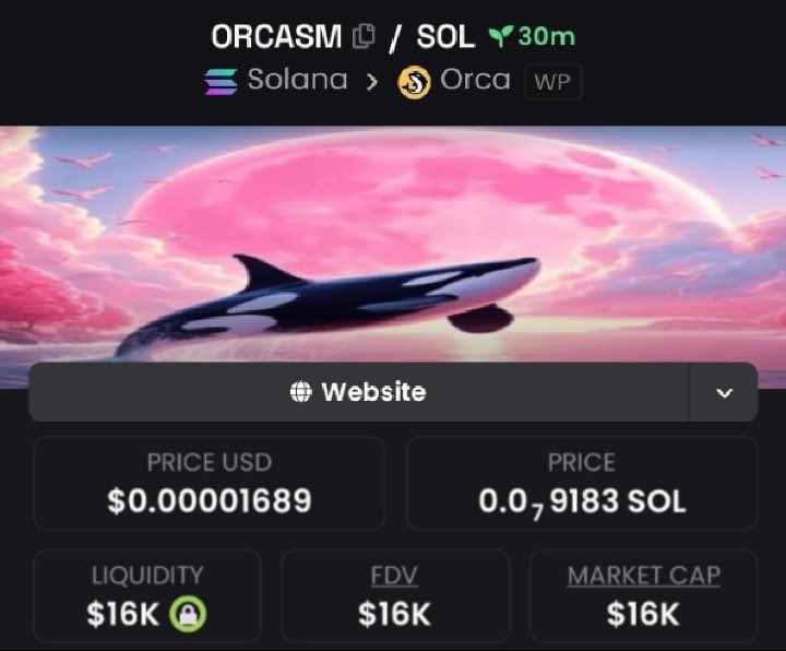 GemSn1per's tweet image. I showcased #ORCASM at a $16k market cap in my private Telegram group.
⛓️ Chain: #Solana