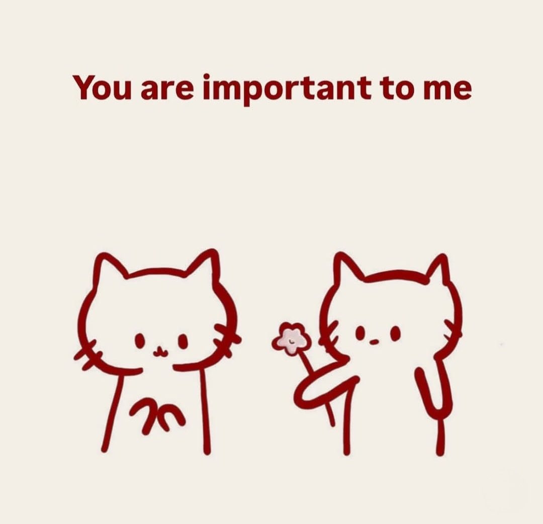 ♡ (@softheavens) on Twitter photo 