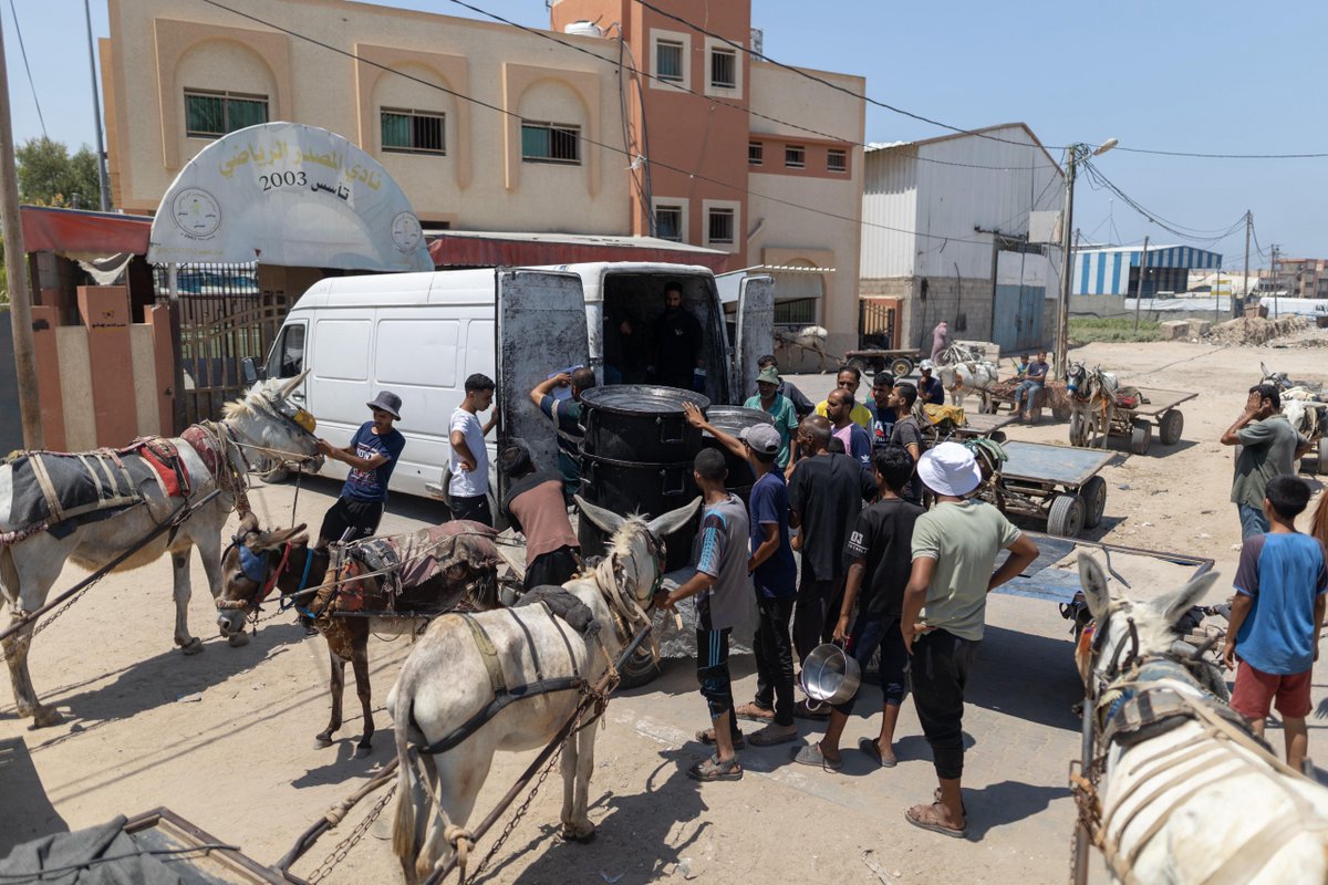 WCKitchen's tweet image. In Gaza, donkey-driven carts have arrived at WCK's Deir al-Balah kitchen to help deliver meals to families in need. Because operations are short on fuel, these carts have become critical to transporting meals to as many people as possible. It's a small fraction of the families…