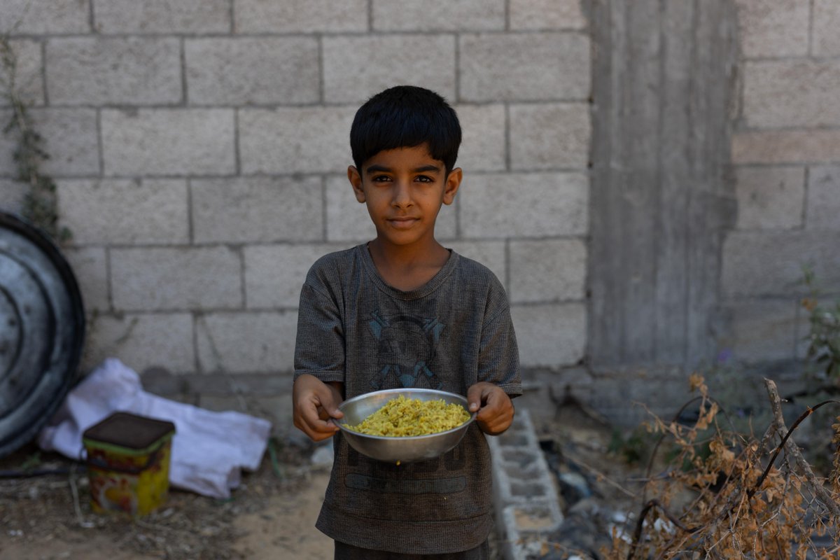 WCKitchen's tweet image. In Gaza, donkey-driven carts have arrived at WCK's Deir al-Balah kitchen to help deliver meals to families in need. Because operations are short on fuel, these carts have become critical to transporting meals to as many people as possible. It's a small fraction of the families…