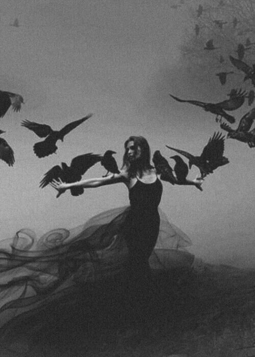 Black. (@blackdreamvibes) on Twitter photo 