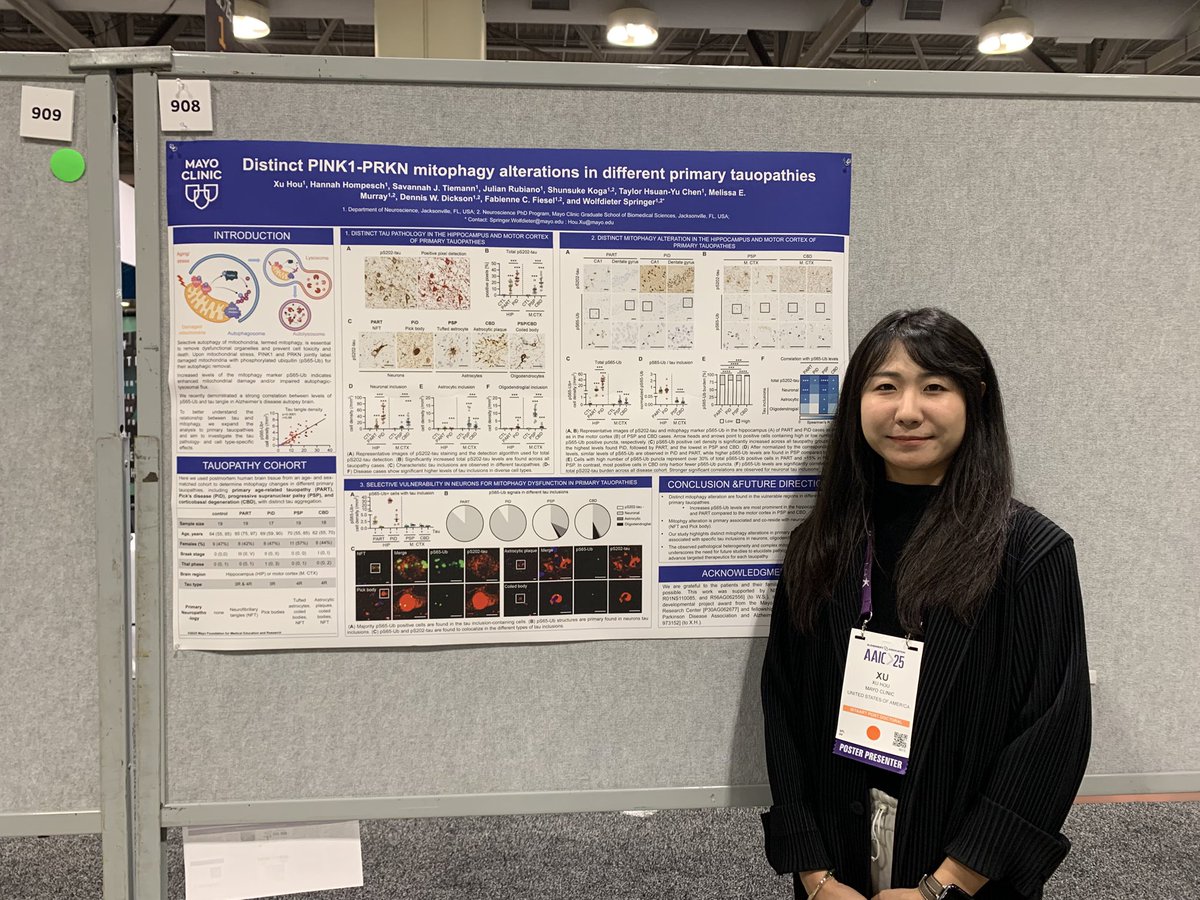 Congratulations Dr. Xu Hou <a href="/MayoClinicNeuro/">Mayo Clinic Neuro</a> <a href="/MayoClinic/">Mayo Clinic</a> from Dr. Wolfdieter Springer’s lab on her work on role of mitophagy in tauopathies. Dissecting common and distinct biological pathways across #neurodegeneration is key to understand and address disease heterogeneity #AAIC25