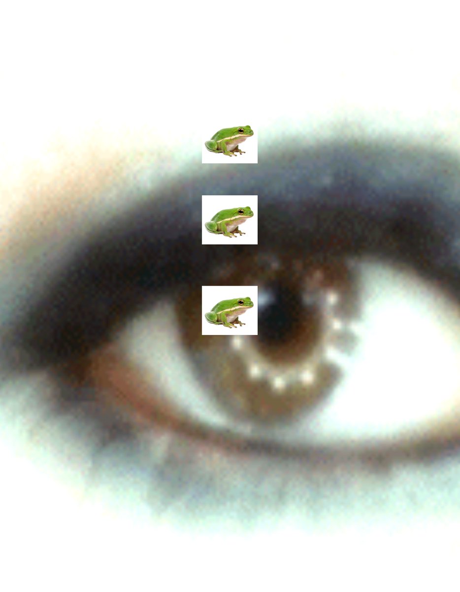 ethan.website (@ethandotwebsite) on Twitter photo 