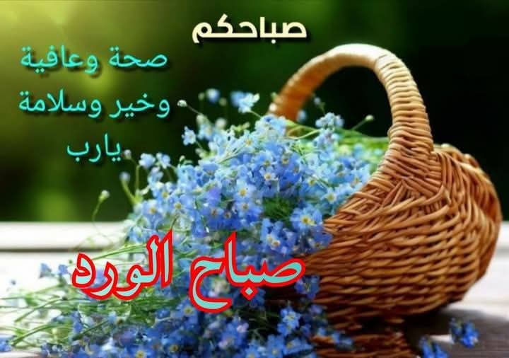مَا أجمَل الفجر ..
أرزاق توزع وملائكة تهبط ..
ونسمات إيمان  وقلوُب  تَتِمنى  
        الخِير لبعضہَا ..
اللهم أشرق وجوهنا بنور طاعتك ..
واملأ قلوبنا بحبك ..
اللهم ارزقنا ، حلاوة الحياة ، وطيب الأثر ، وبلوغ الأمل ، وحسن الخاتمة بصلاح العمل .
 
صباح الخير...🌹🌹