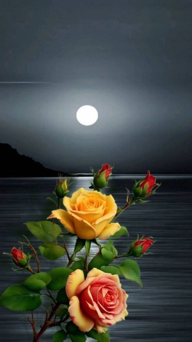 #فضفضه 

علمتني الحياة...!
ان الأفعال هي التى تؤكد
اصدق المحبة أما الكلام
ف الجميع مبدع 🥺