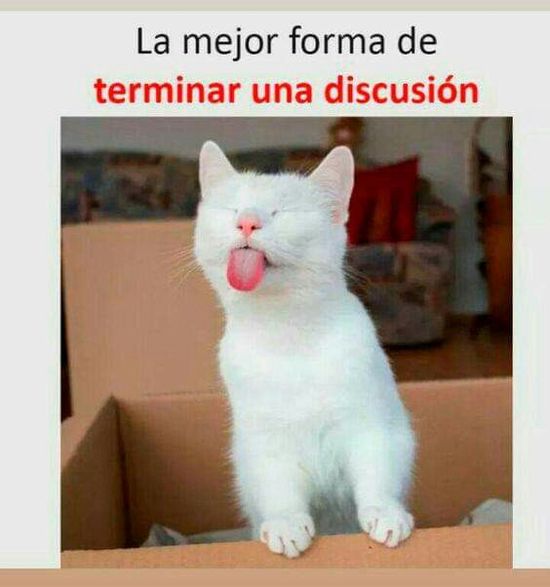 Edy🌷 (@edy75745008) on Twitter photo 