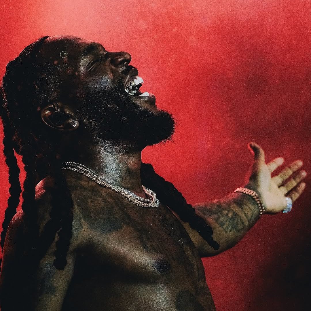 king wings💸 tweet media