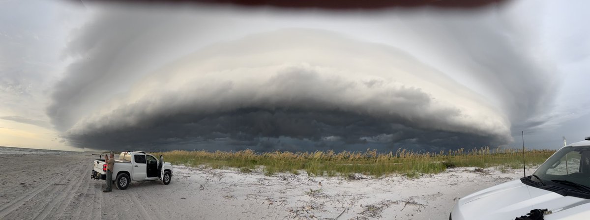 DisplacedYinzer tweet media