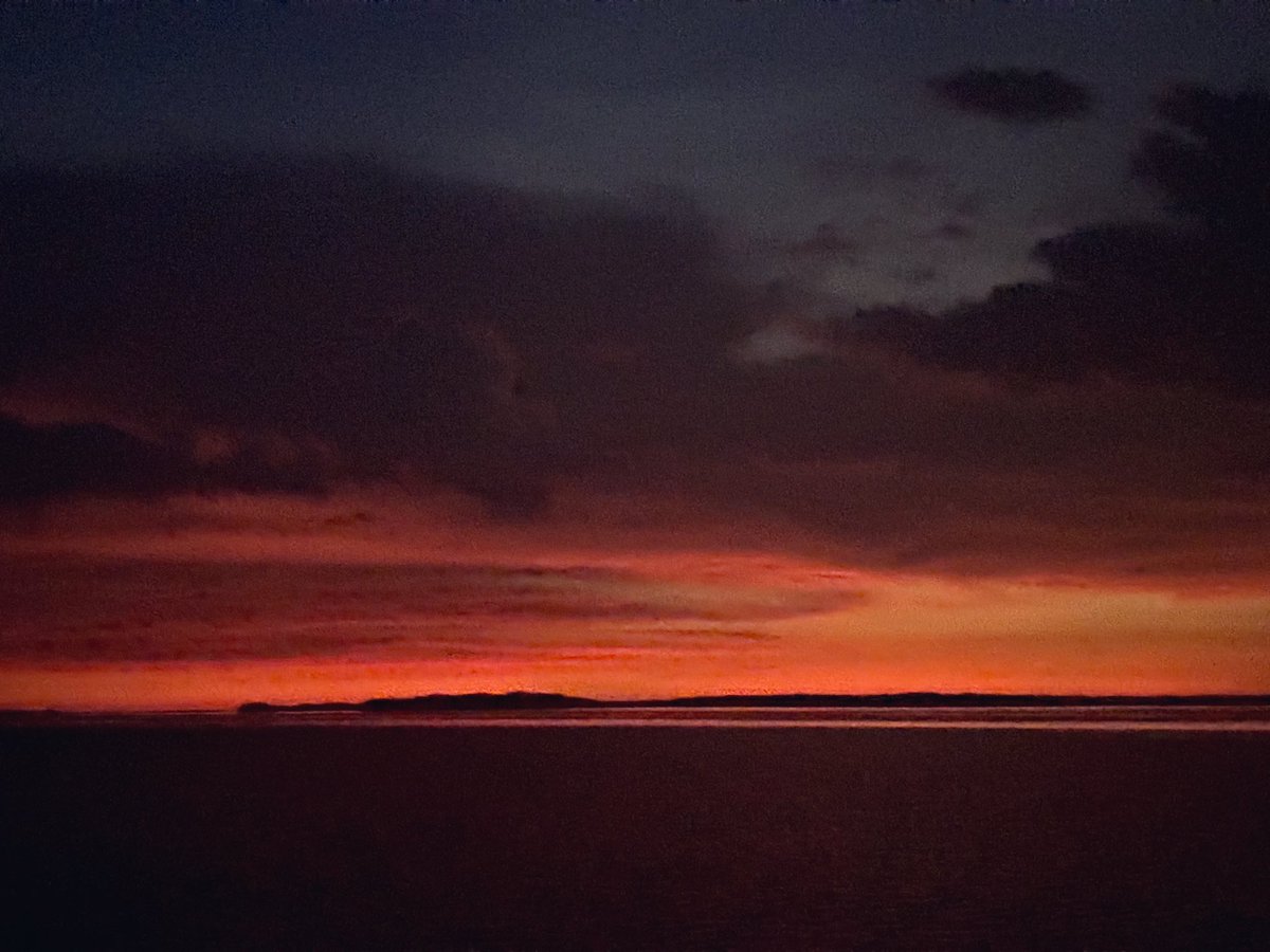 DisplacedYinzer tweet media