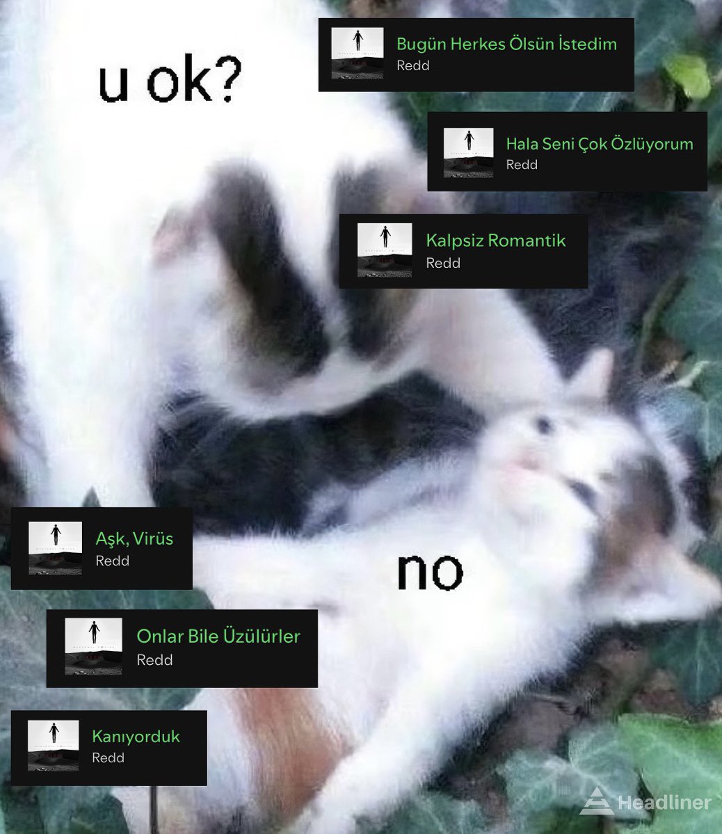 headlinertr's tweet image. 