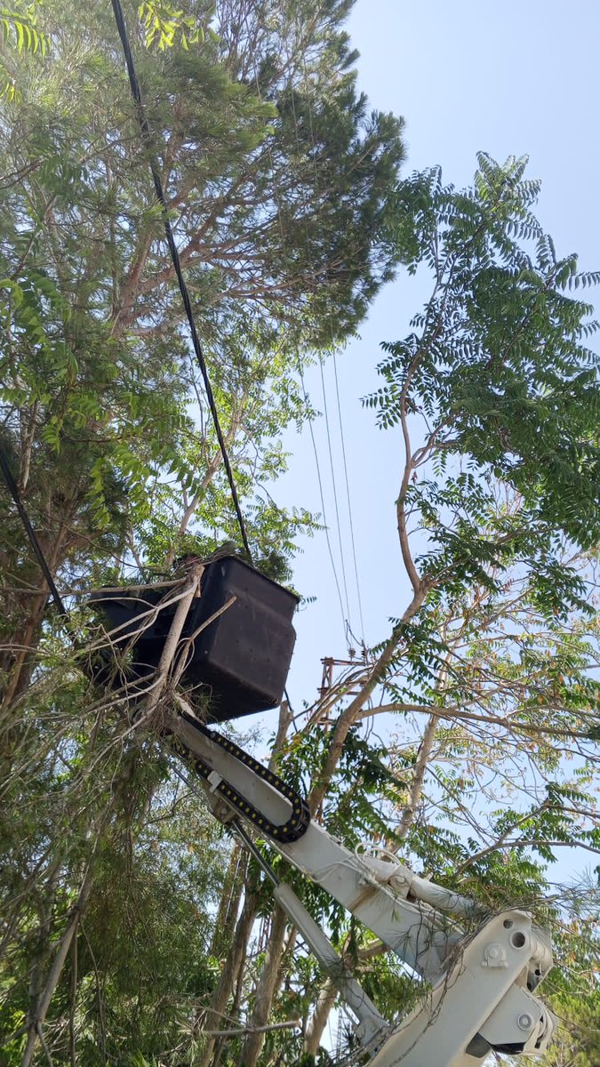 *أعمال تشحيل الأشجار على شبكات الكهرباء في بلدة الطيبة*

بالتعاون بين اتحاد بلديات جبل عامل ومؤسسة كهرباء لبنان، وبلدية الطيبة  تم تنفيذ  أعمال تشحيل الأشجار  القريبة من *شبكات الكهرباء الداخلية* في بلدة الطيبة.