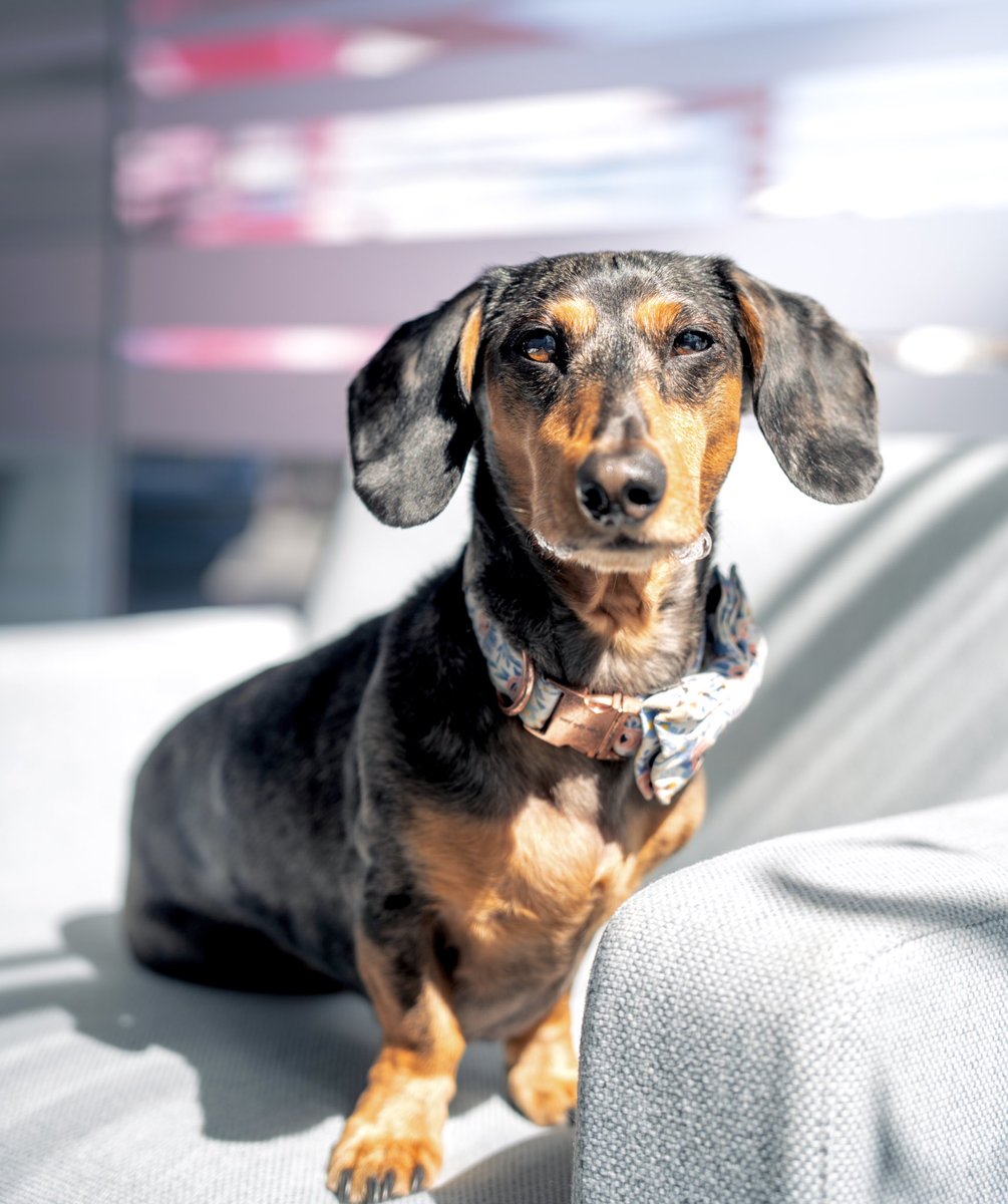 Rocky, CEO tweet media