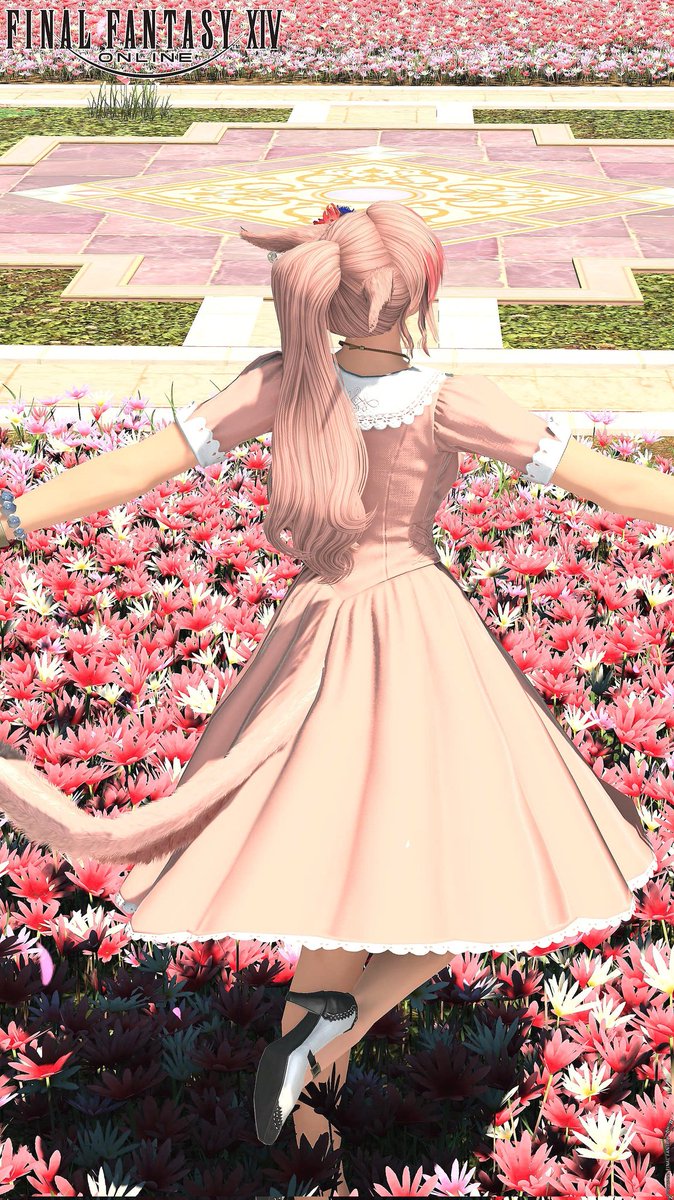 おはようございます🐈️🐾
毎日、熱中症警戒アラートがでていますね🤣
日焼け止め塗っても
お肌ヒリヒリしています💦

今日も、水分いっぱい摂って
がんばろ🤗💕

＃FF14 ＃おはミコ