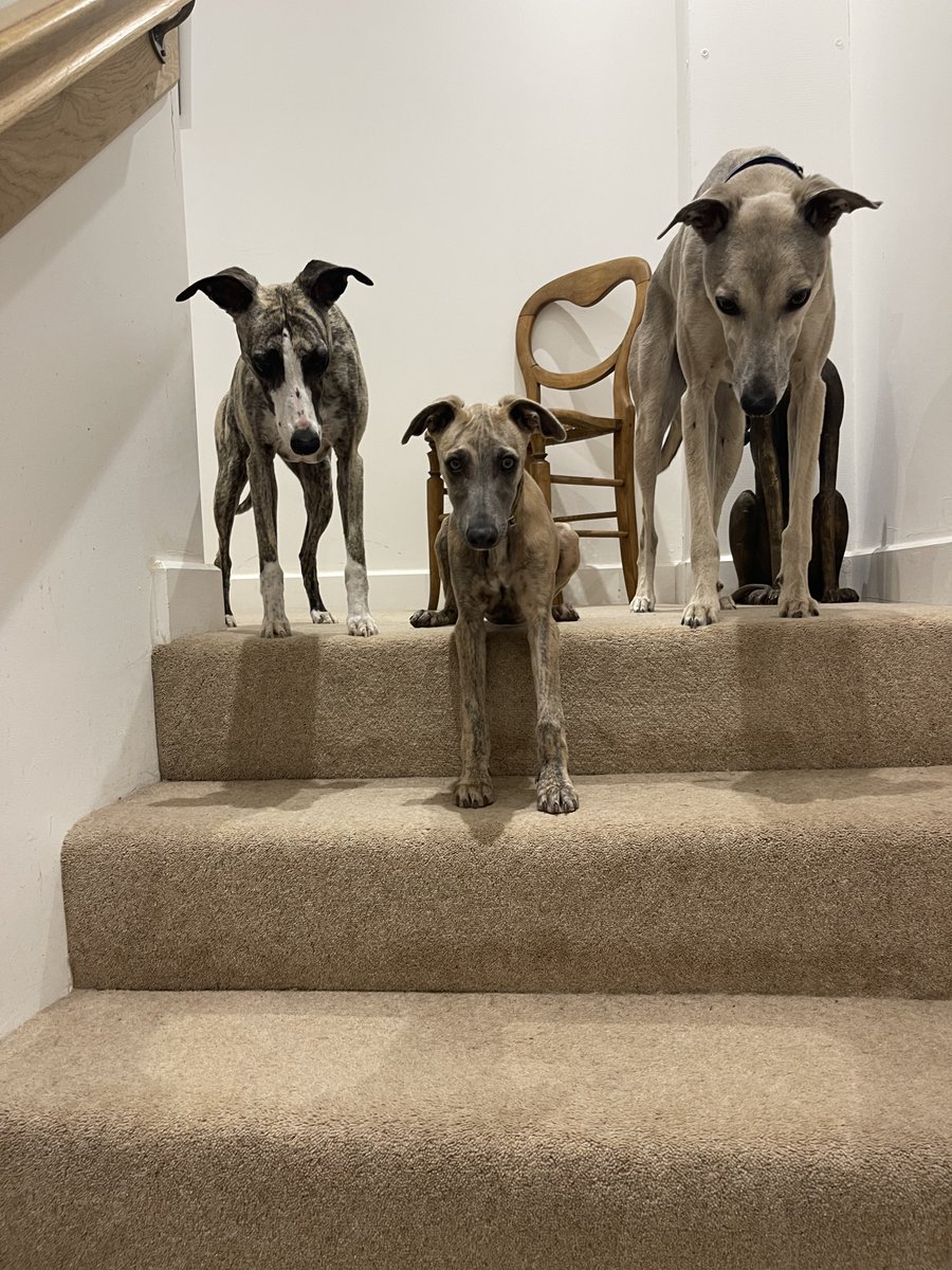 Little , middle and large ❤️❤️❤️