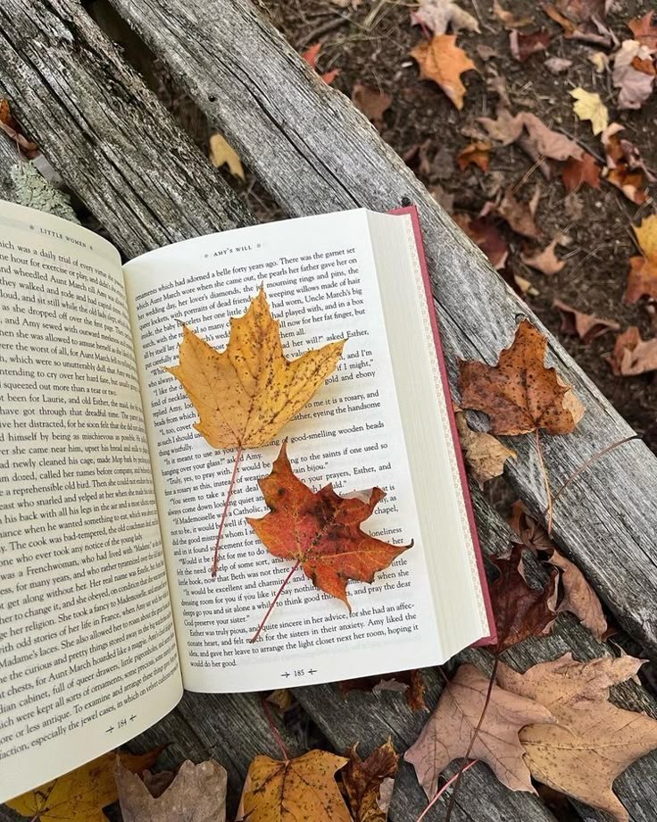 autumn girl tweet media