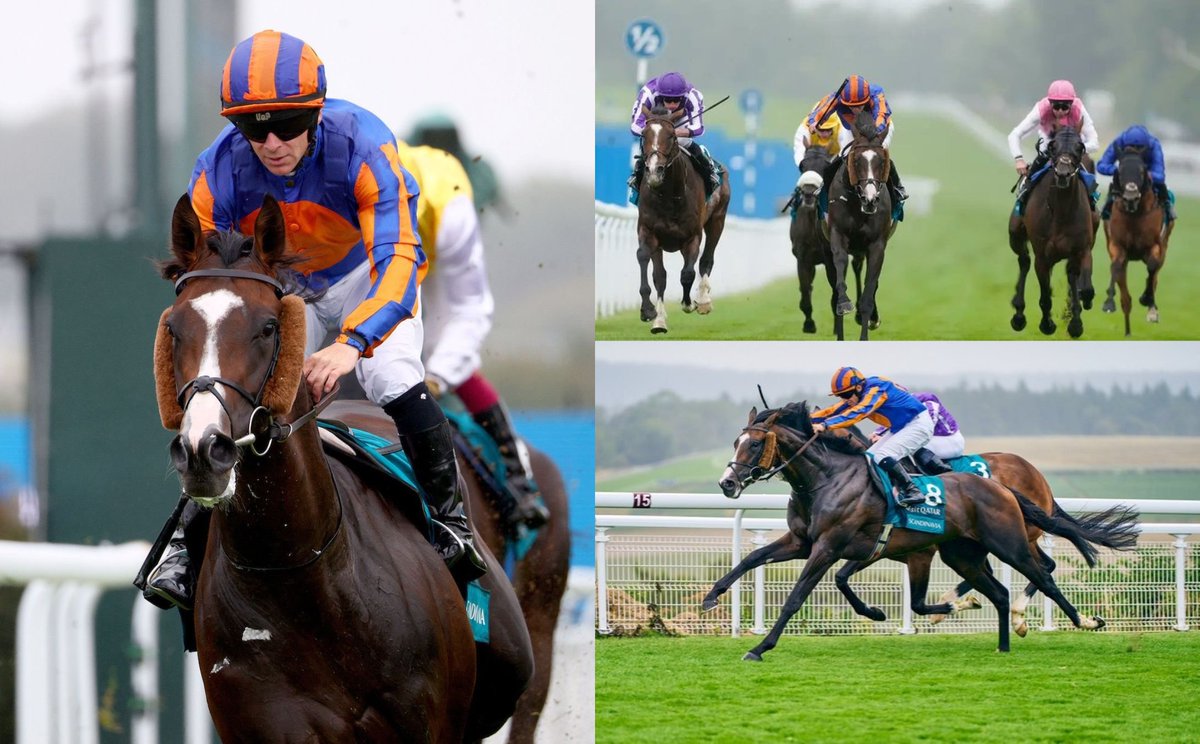 #Hipismo Esta mañana en #Goodwood 🇬🇧 SCANDINAVIA 🇺🇸 sorprendió con WAYNE LORDAN "Up" en plena sentencia a su compañero del #Ballydoyle ILLINOIS para llevarse la #GoodwoodCup (Gr.1) en 3.200 Mts. Fue el noveno hijo ganador de Gr.1 para JUSTIFY 👑 Quinta #GC para AIDAN O´BRIEN 🇮🇪