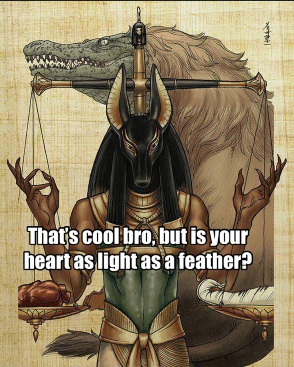 wilplatypus's tweet image. what is your life story?