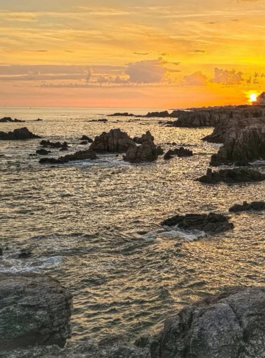 Coucher du soleil sur la mer 🌊🪨🌊💛
L’été  💛🕊🕊💛🕊🕊💛
📸