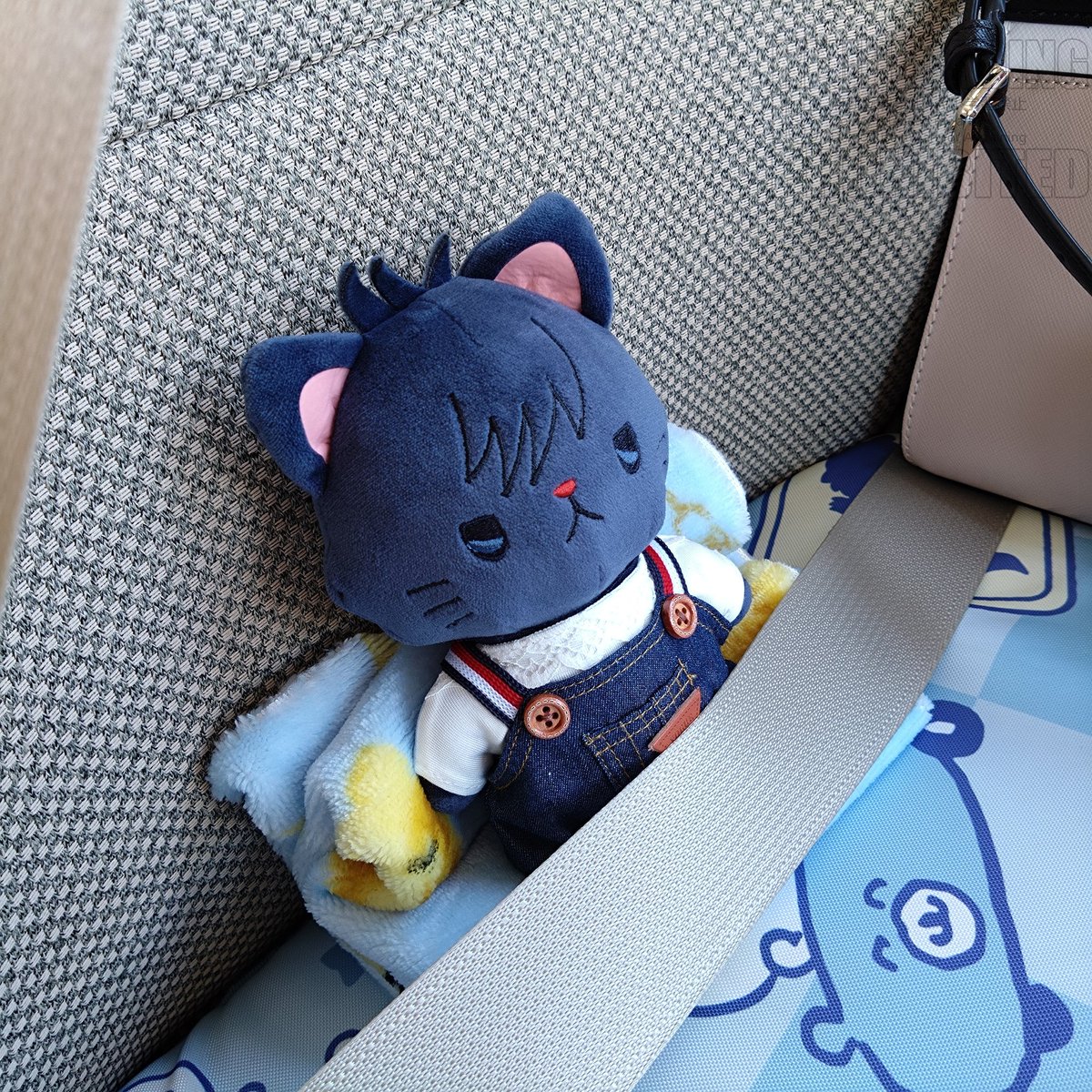 しゅっぱつです！😼