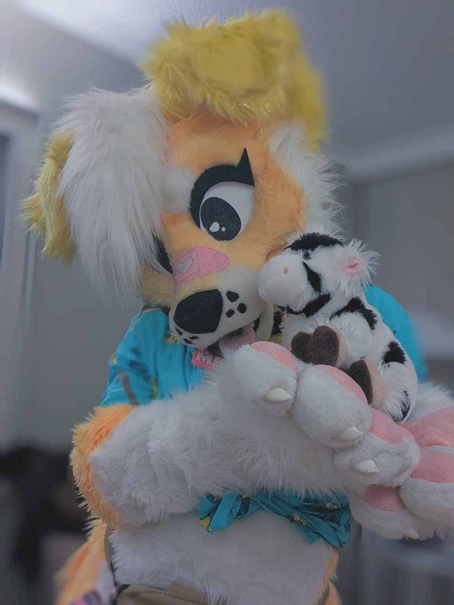 Millie Dog 💛 🔜 FurDU tweet media