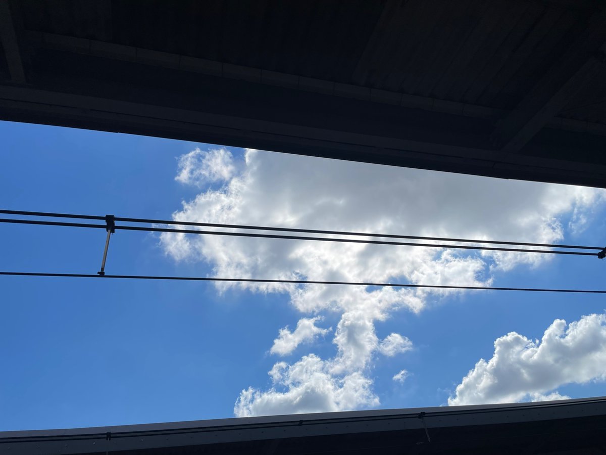 COCOCARA2023's tweet image. おはようございます🐨
COCOCARA板橋オフィスです！

#水曜日 になりました🤩
本日の #板橋区 の天候は晴れ☀️
#最高気温 は33℃の予報です🌡️

朝は少し雲が出ていて直接日差しを浴びない分、多少涼しく感じたように思います。
多少…😅

水分だけでなく、塩分補給も忘れずに！…