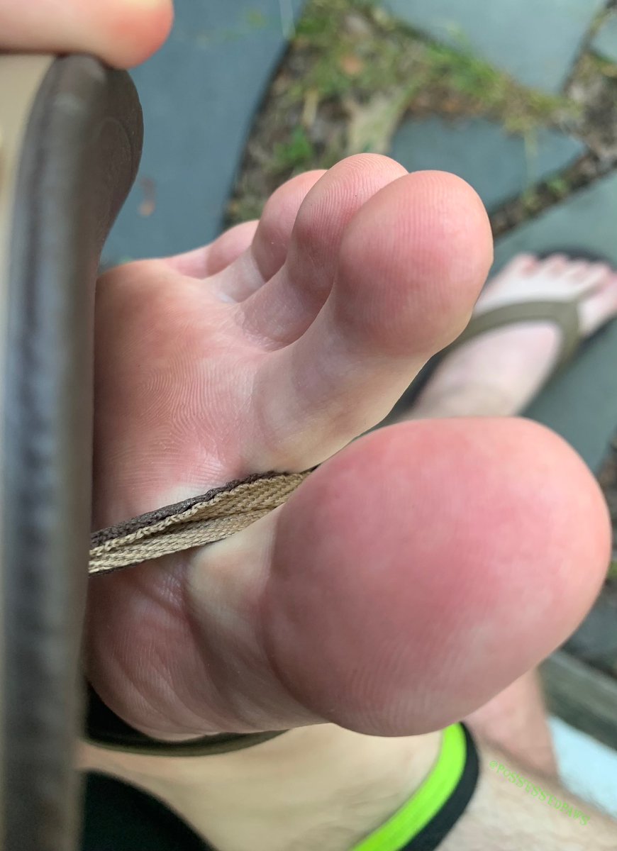 EctoPuppyAD tweet media