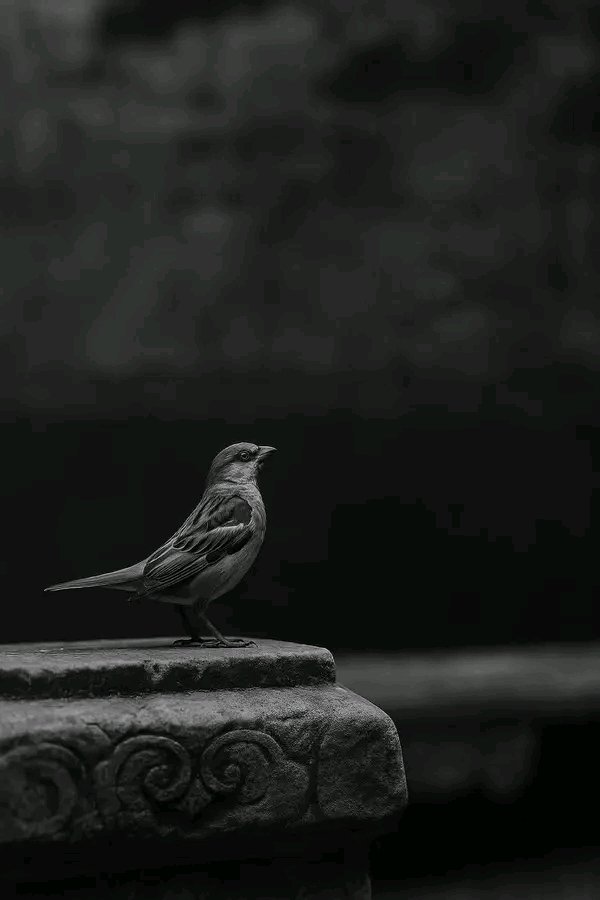 a yayin da wasu ke yawo da surutu a kafafin sada zumunta <a href="/vooi_io/">vooi</a> ya  samar da mafita...
Abun gaskatawa <a href="/cookiedotfun/">Cookie DAO 🍪</a>