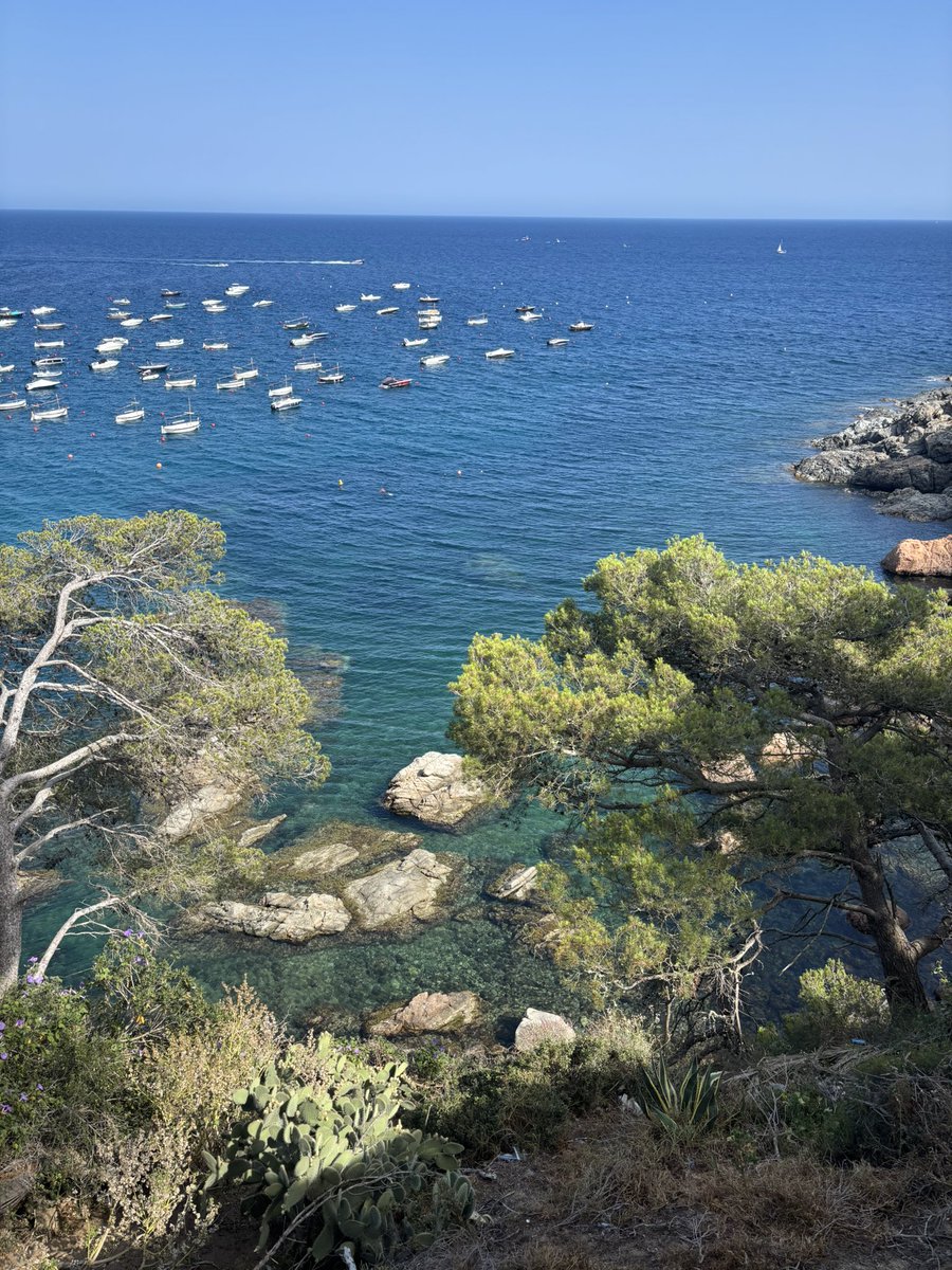 Pol Pérez tweet media