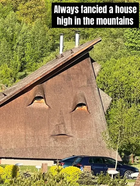 😵‍💫😵‍💫😵‍💫