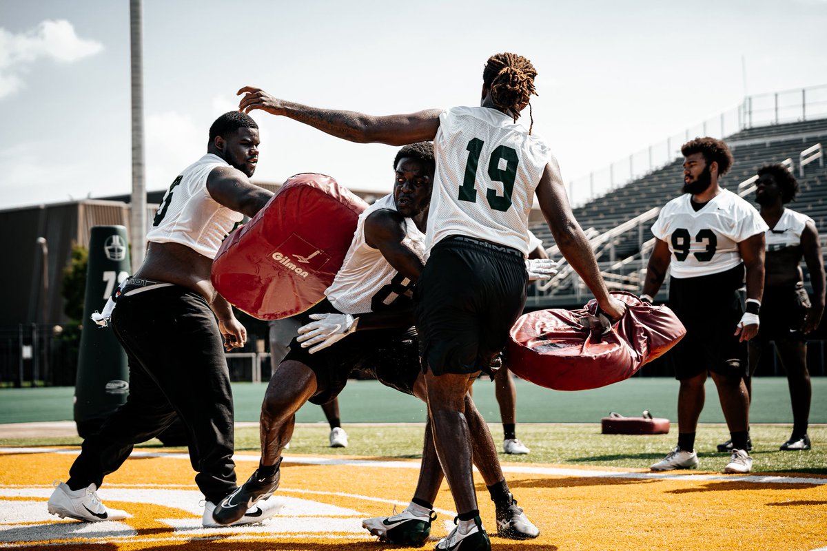 Gone camping ⛺️

#GoldStandard🔰