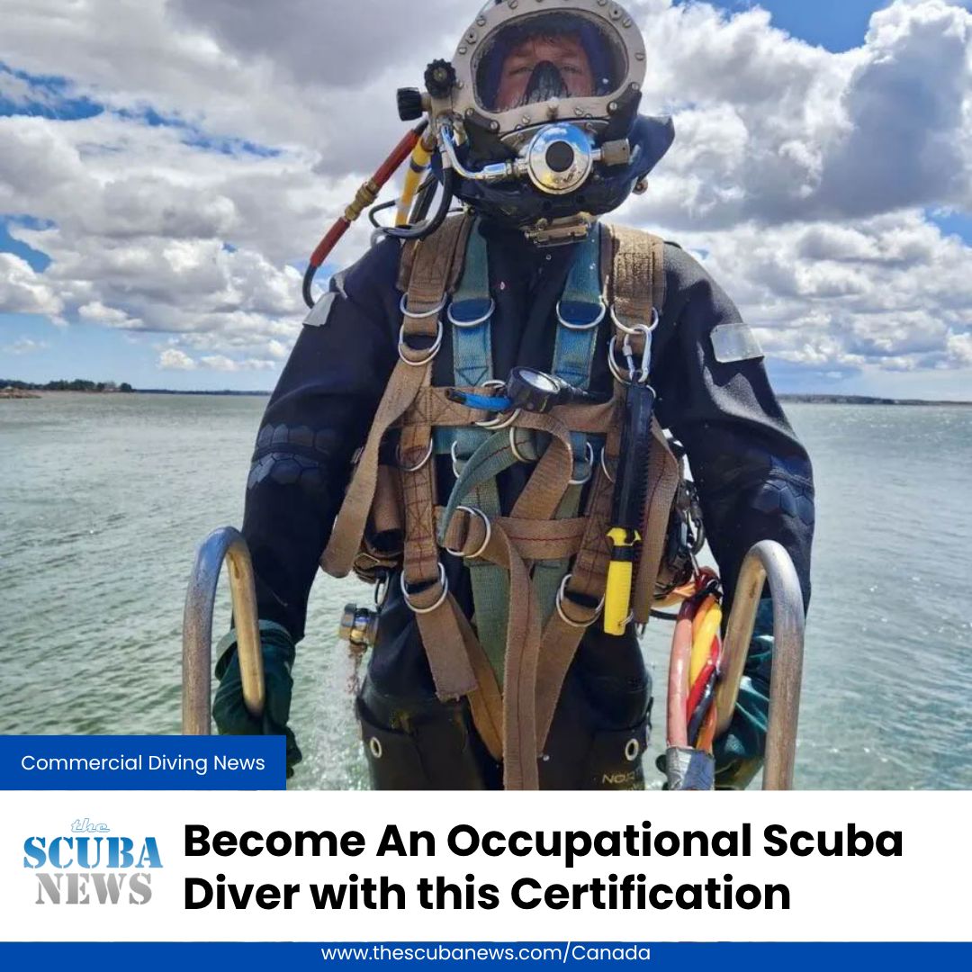 This course will give the graduate certification to the CSA standards for an Occupational Scuba Diver 

🤿 👉  buff.ly/HCl8emV