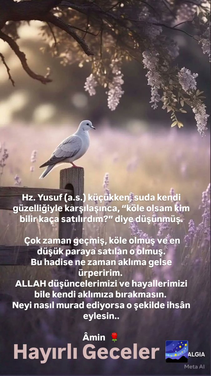 sulekaraaaaa's tweet photo. Hayırlı Geceler 🌌 https://t.co/2e7LJowbEc