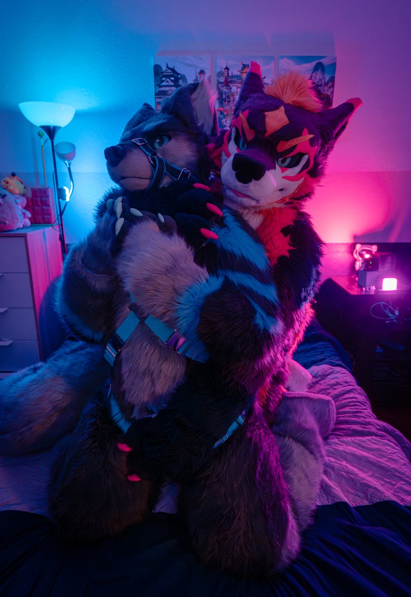 もう寝る時間ですか
sshhh shhh... It will be over soon
🐺: wuffles