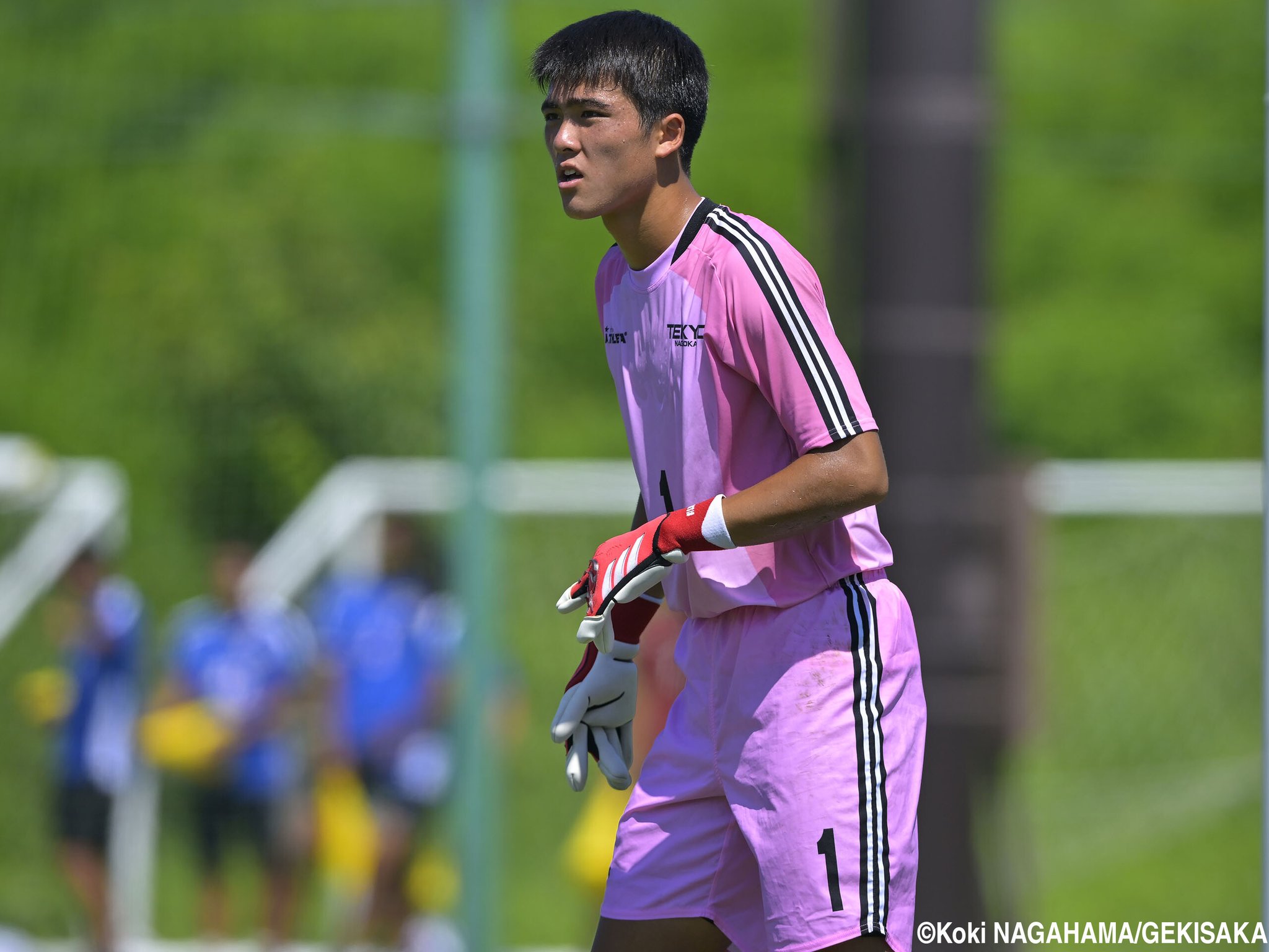 帝京長岡サッカー部ユニホーム 背番号1桁 最終値下げ 帝京長岡サッカー部ユニホーム 背番号1桁 最終値下げ（J2京都