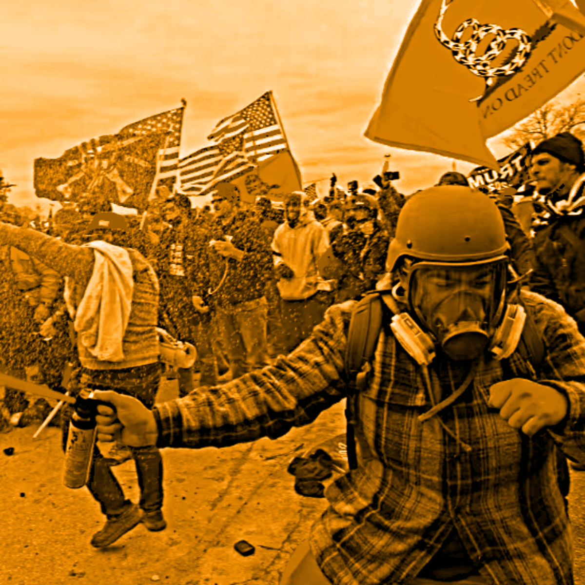 AingellMaurice's tweet photo. @DHSgov MAGA anti-democracy cowardice clan defiling our flag, once again. #FakeAmericans https://t.co/4sDQKBdUHB