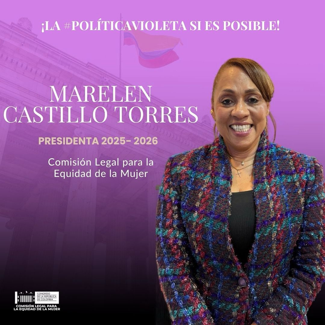 Comisión Legal para la Equidad de la Mujer tweet media
