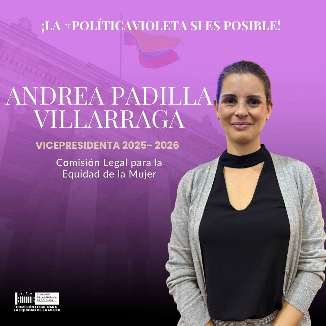 Comisión Legal para la Equidad de la Mujer tweet media