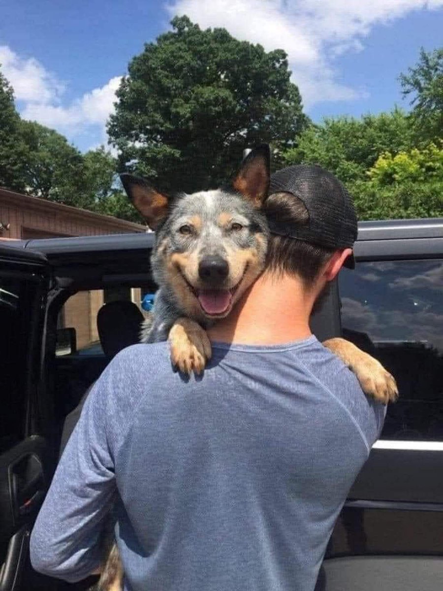 Adopted this lil dude yesterday. He's been in a shelter for his whole life and he looks pretty happy to go to his first home ❤️