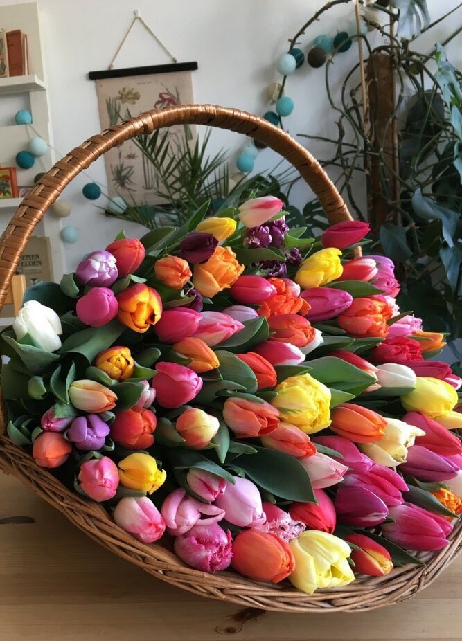 Emily Smile ๐  (@variante_emily) on Twitter photo Mis flores para ti... Mis flores para ti...