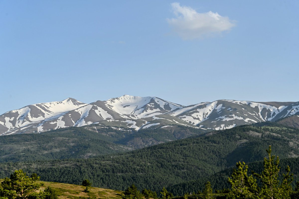 Art is Nature
<a href="/salvor_io/">Salvor 🚢🔺</a>
salvor.io/collections/0x…