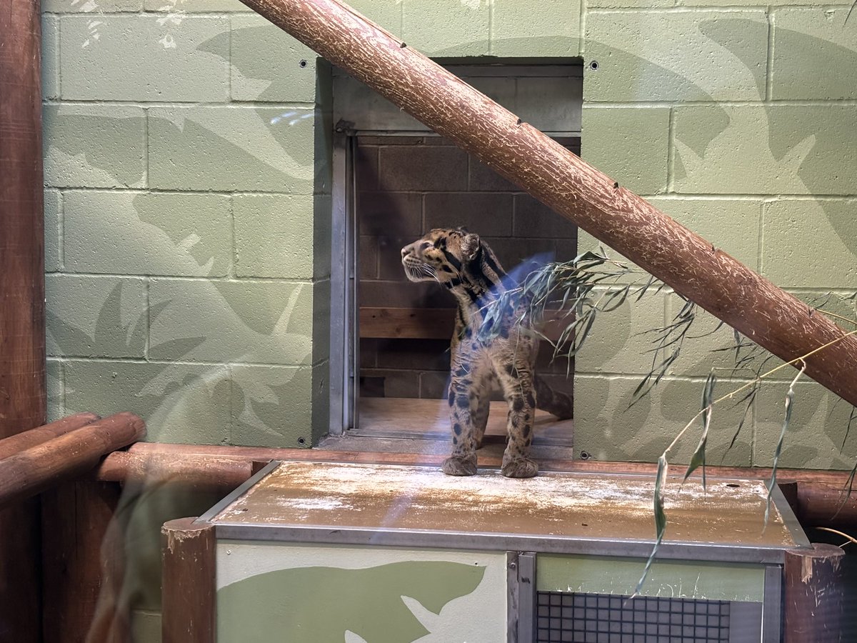 Point Defiance Zoo &amp; Aquarium