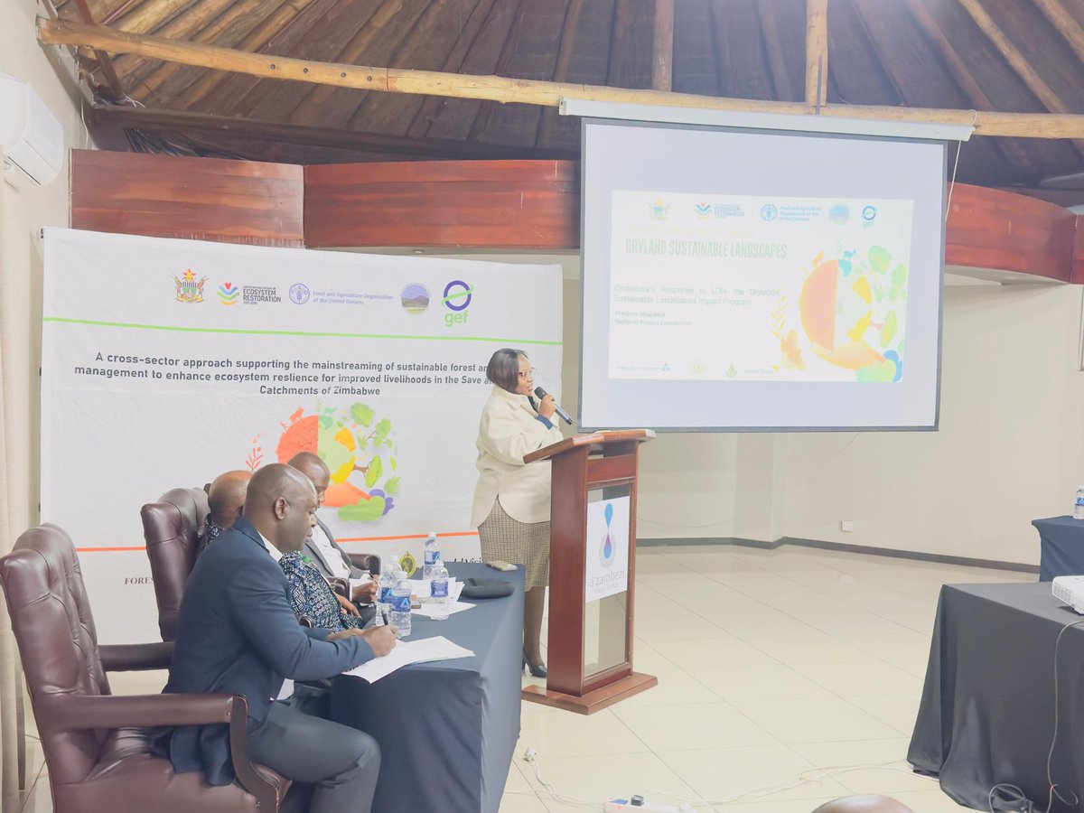 Today’s Land Degradation Neutrality Round Table, hosted by the Drylands Sustainable Landscape Impact Program, brought together top environmental experts and stakeholders, including Permanent Secretary Ambassador Chifamba. Advancing solutions for a sustainable future. 🌍🌱 #LDN