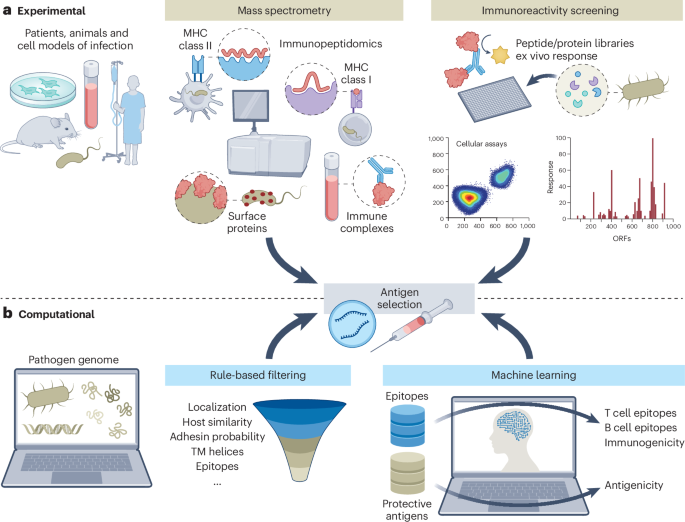 Out Now! Challenges and opportunities in mRNA vaccine development against bacteria bit.ly/4f9yUla #mRNA #VaccineDevelopment #BacterialInfections