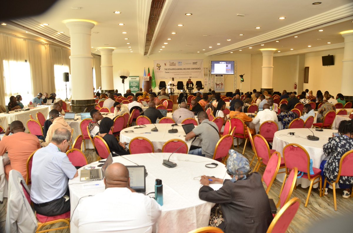 AAWConference's tweet photo. Day 2 of #AAWC2025 delivered a powerful series of discussions focused on the intersections of animal welfare, environmental sustainability, and policy engagement.
#AAWC2025 #AAWConference #AnimalWelfareAfrica #CameroonForAnimalWelfare #YaoundéForWelfare #AnimalWelfareAction2025 https://t.co/oah6uLNbu6