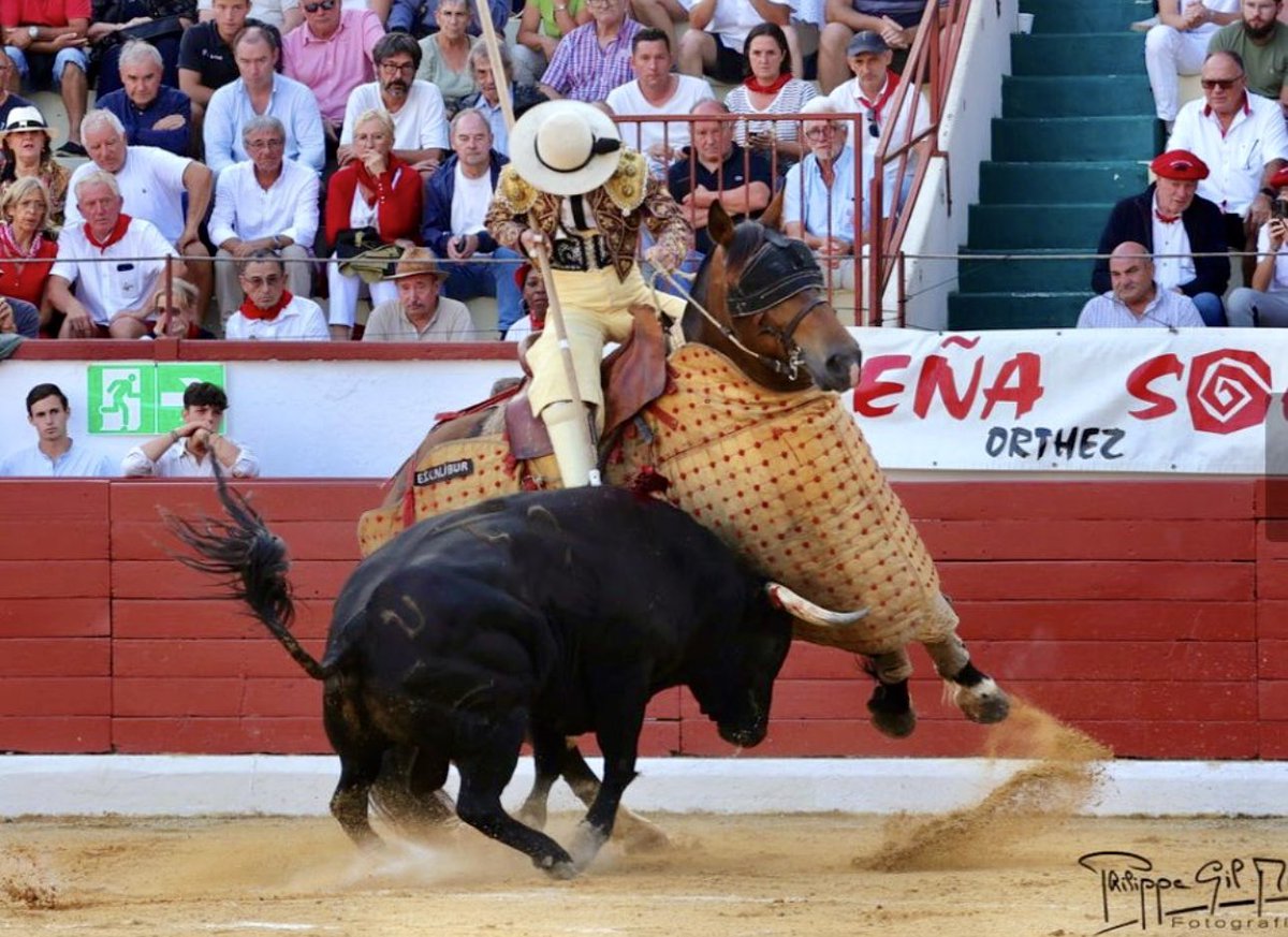 DESJARRETE DE ACHO tweet media