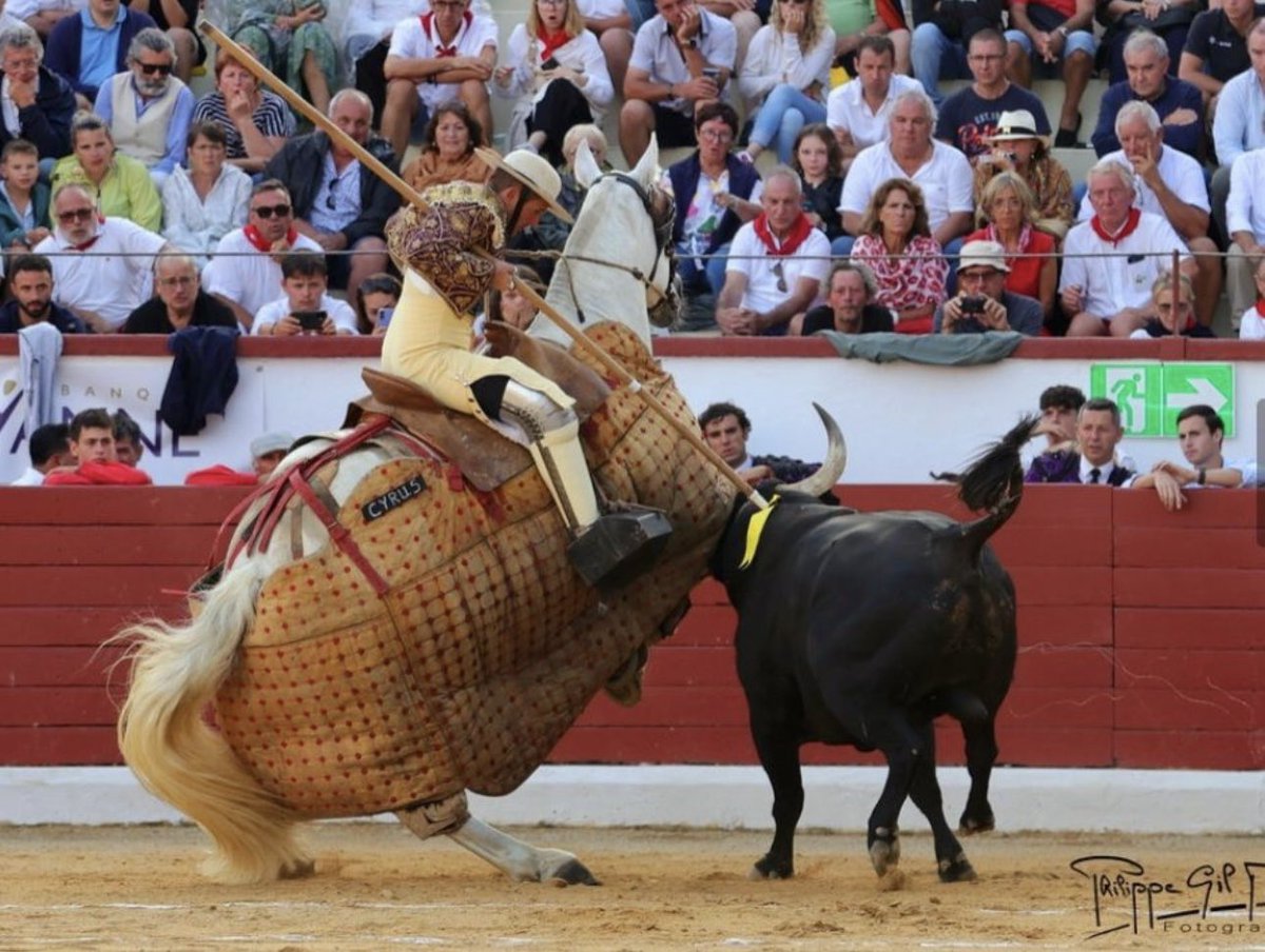 DESJARRETE DE ACHO tweet media