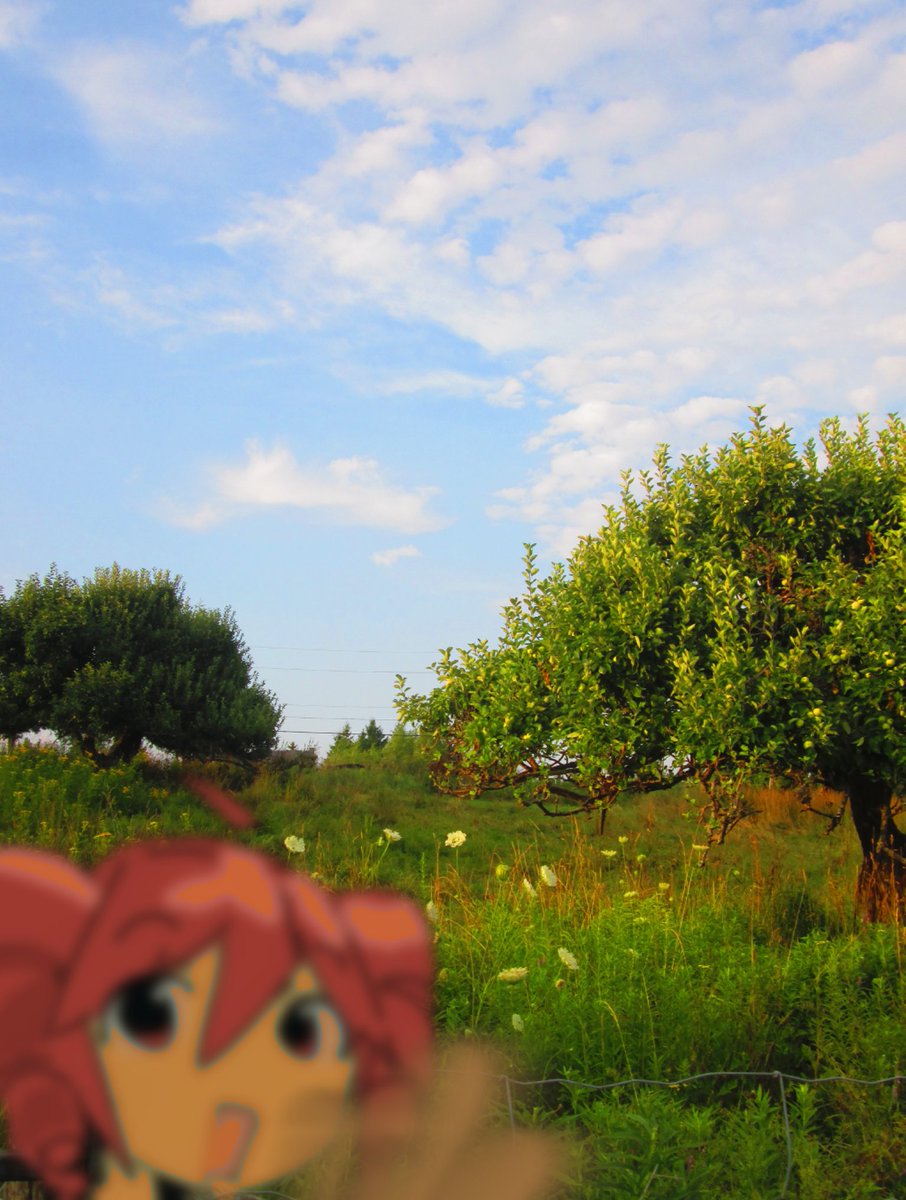 Cowoco 🇵🇸 COMMS OPEN (@cowocoexists) on Twitter photo 