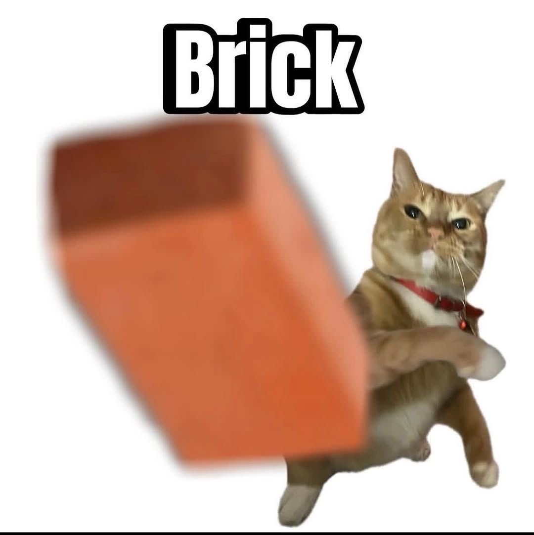 QUIT BEIN HORNY ON MAIN

I CAST BRICK